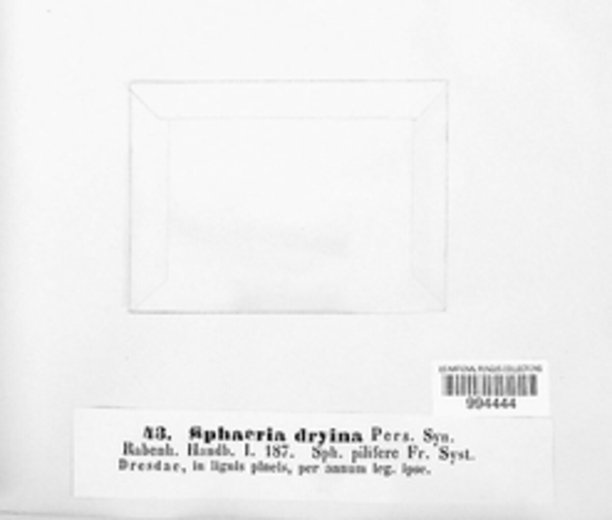 Sphaeria dryina image